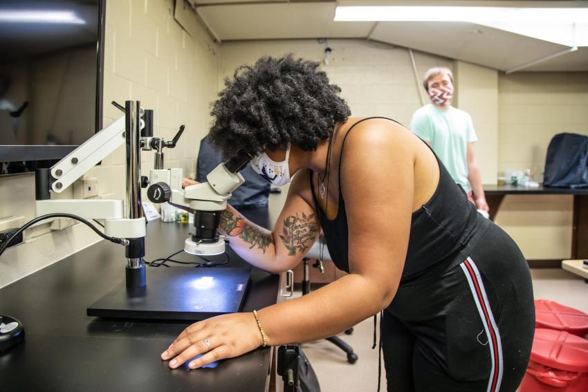 Arcadia University student Alexis Testa looks through a microscope