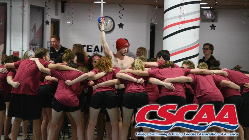 Men's and women's swimming teams in a group huddle