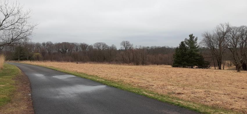 Panoramic shot of preserved lands from Gwynedd Wildlife Preserve.