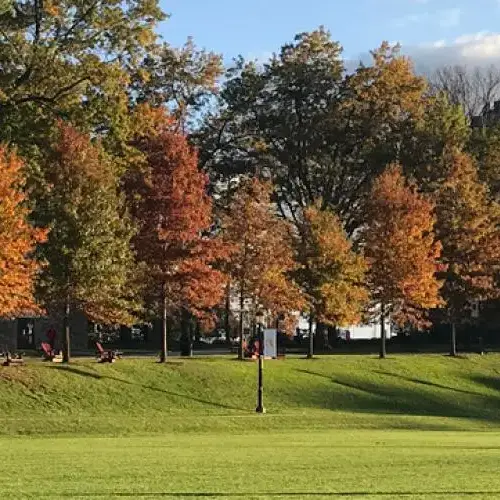 A panorama of campus during the autumn season