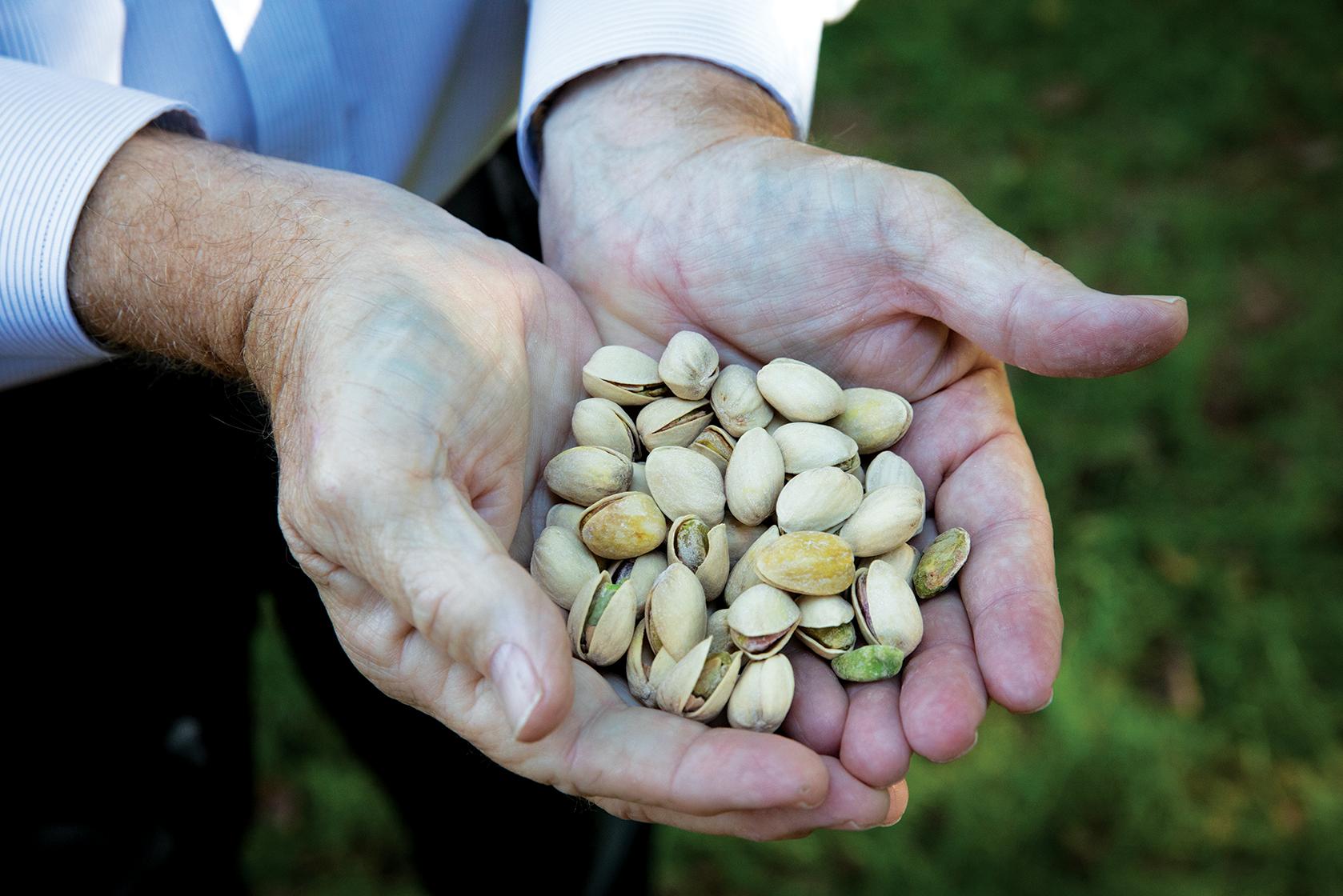 An image of cupped hands holding pistachios.