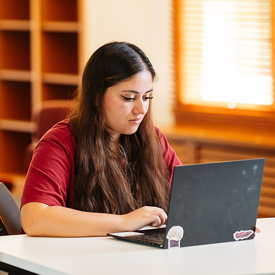 While sitting in a large brightly lit room, a student gazes at her laptop.