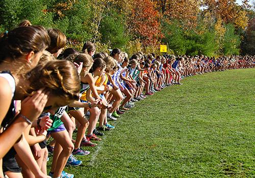 Men and women standing in a line for cross country.