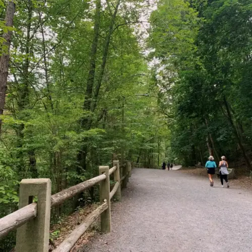A gravel path through the woods where two women jog with their backs to the camera