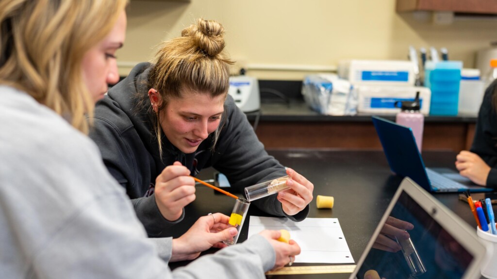 Students conduct experiments with termites