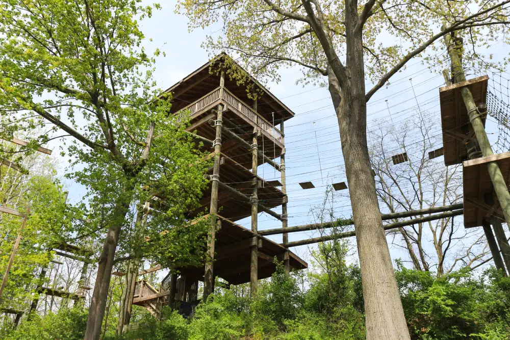 high ropes structure