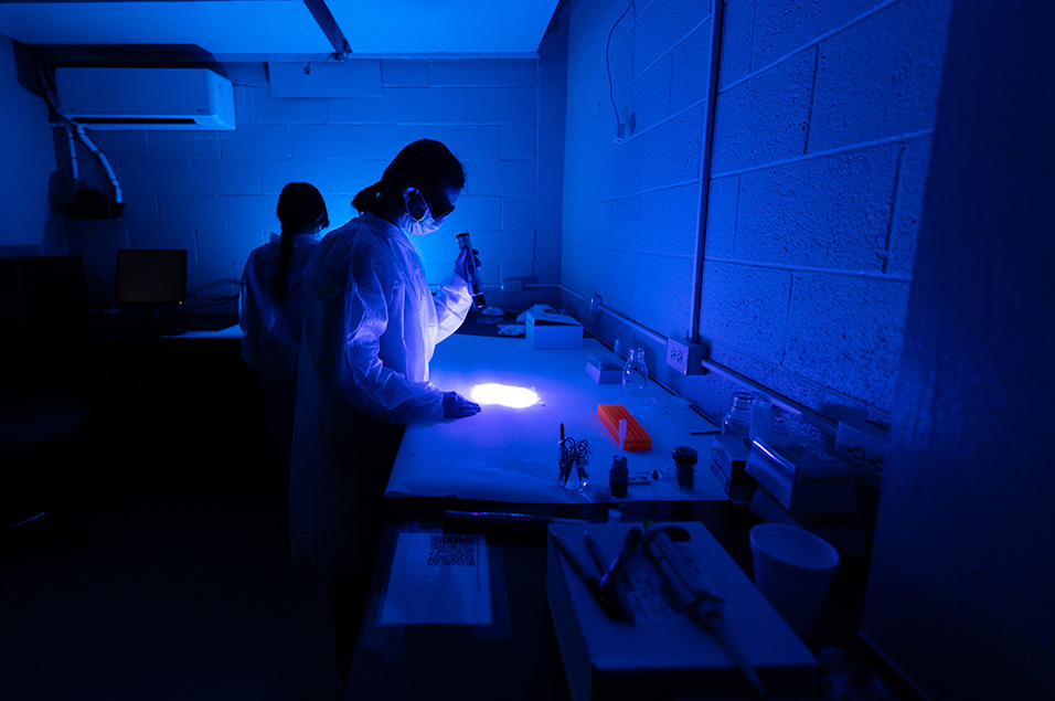 A student conducts a test in a dark blue testing room in the Forensics Department.