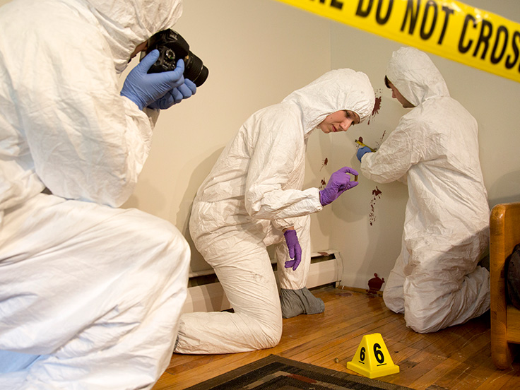 Arcadia forensic students, dressed in white investigation suits, work at a crime scene with a photographer.