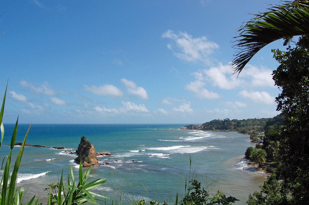 coastline with ocean and palm trees from Dominica in the Careibbean