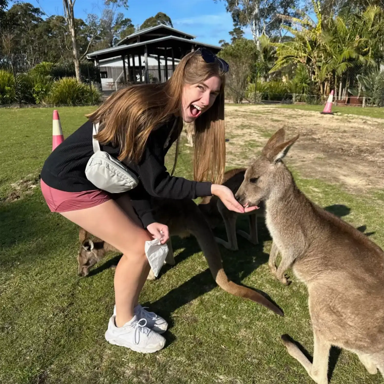 Grace Caldwell feeding a kangaroo out of her hand.