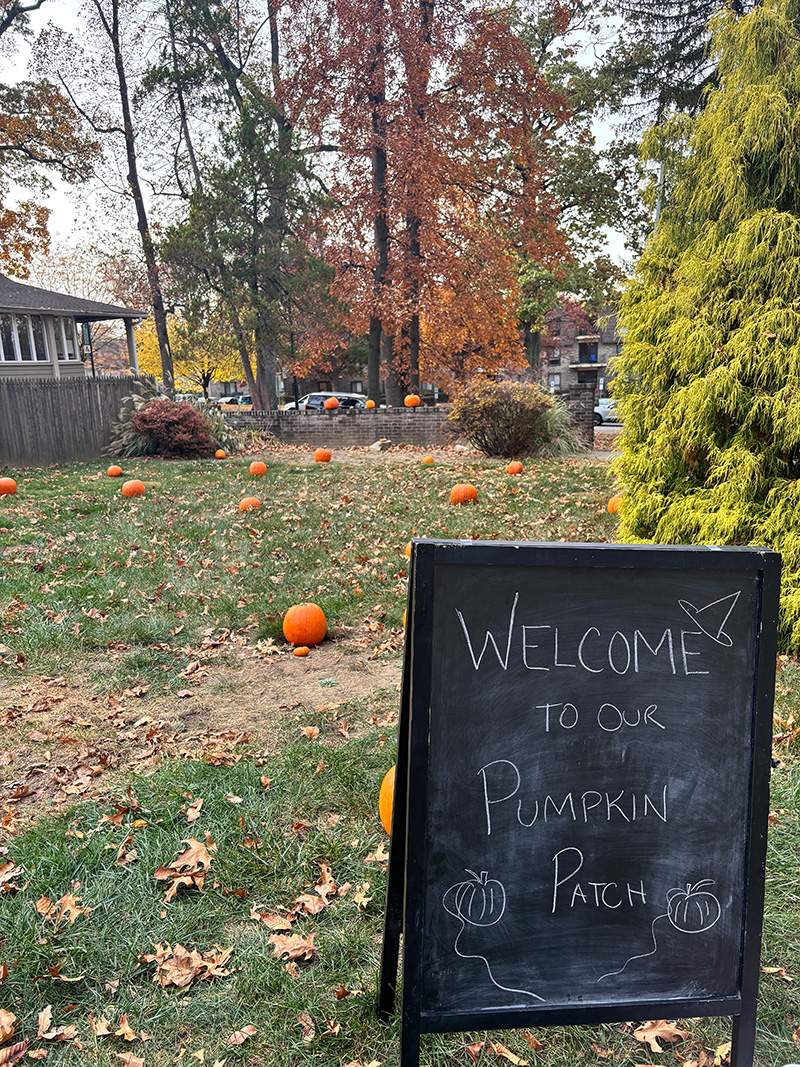 International Students Join in Halloween Fun at Pumpkin Patch Party