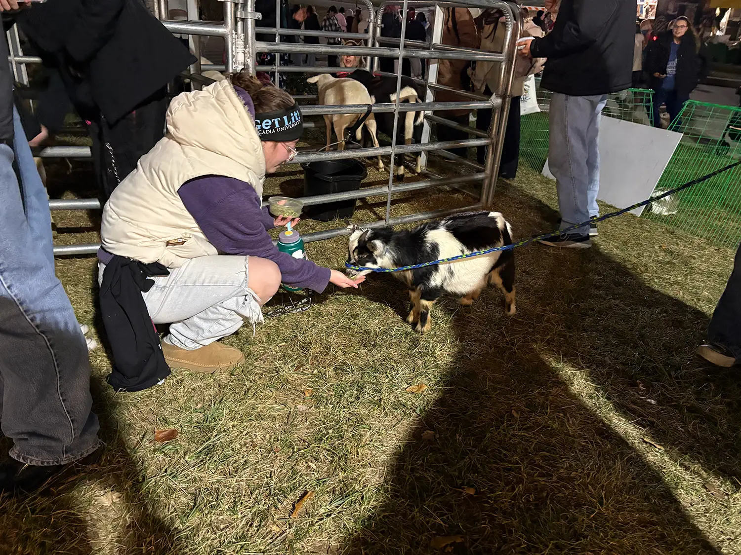 A student feeding a baby goat at Get Lit.