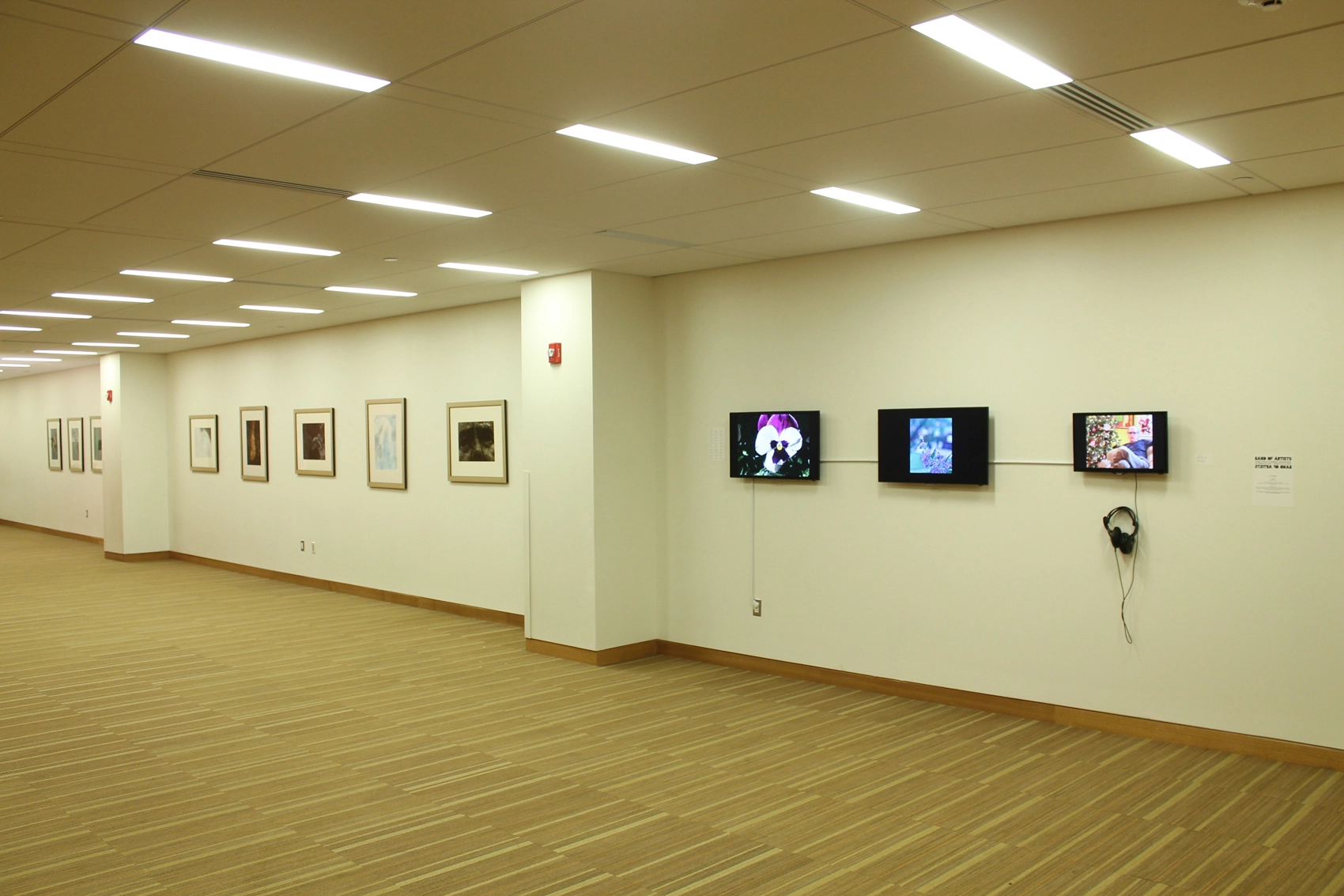 Installation view, "Band of Artists: Spectrum Order Disorder," 2014, Commons Art Gallery