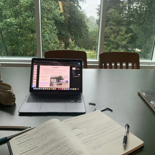 A study room in Landman Library.