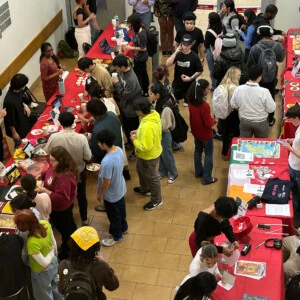 Students at the Culture Fair.