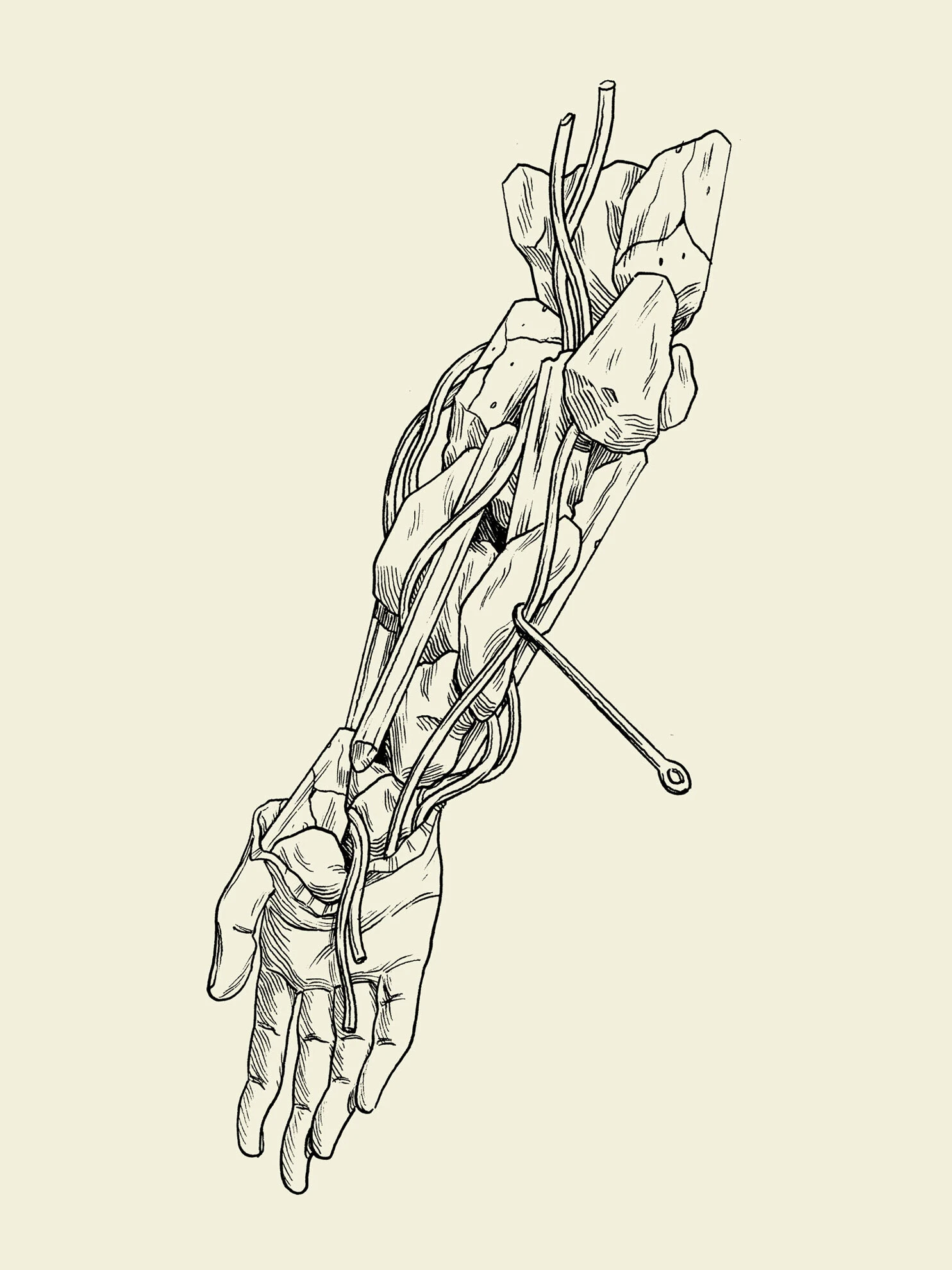 Drawing of an arm. 