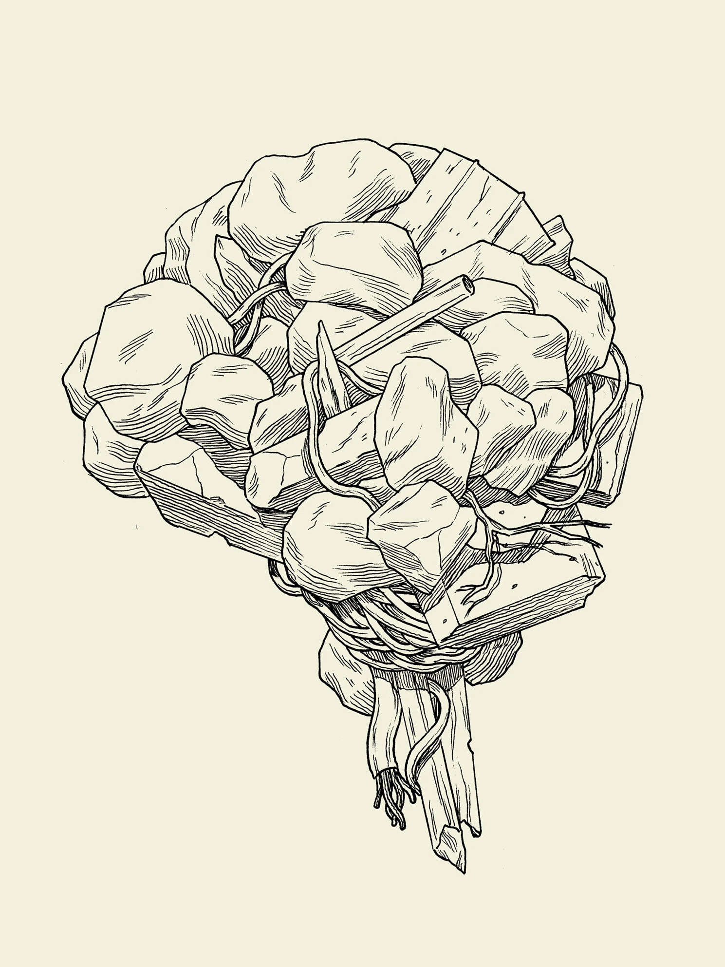 Drawing of a brain.