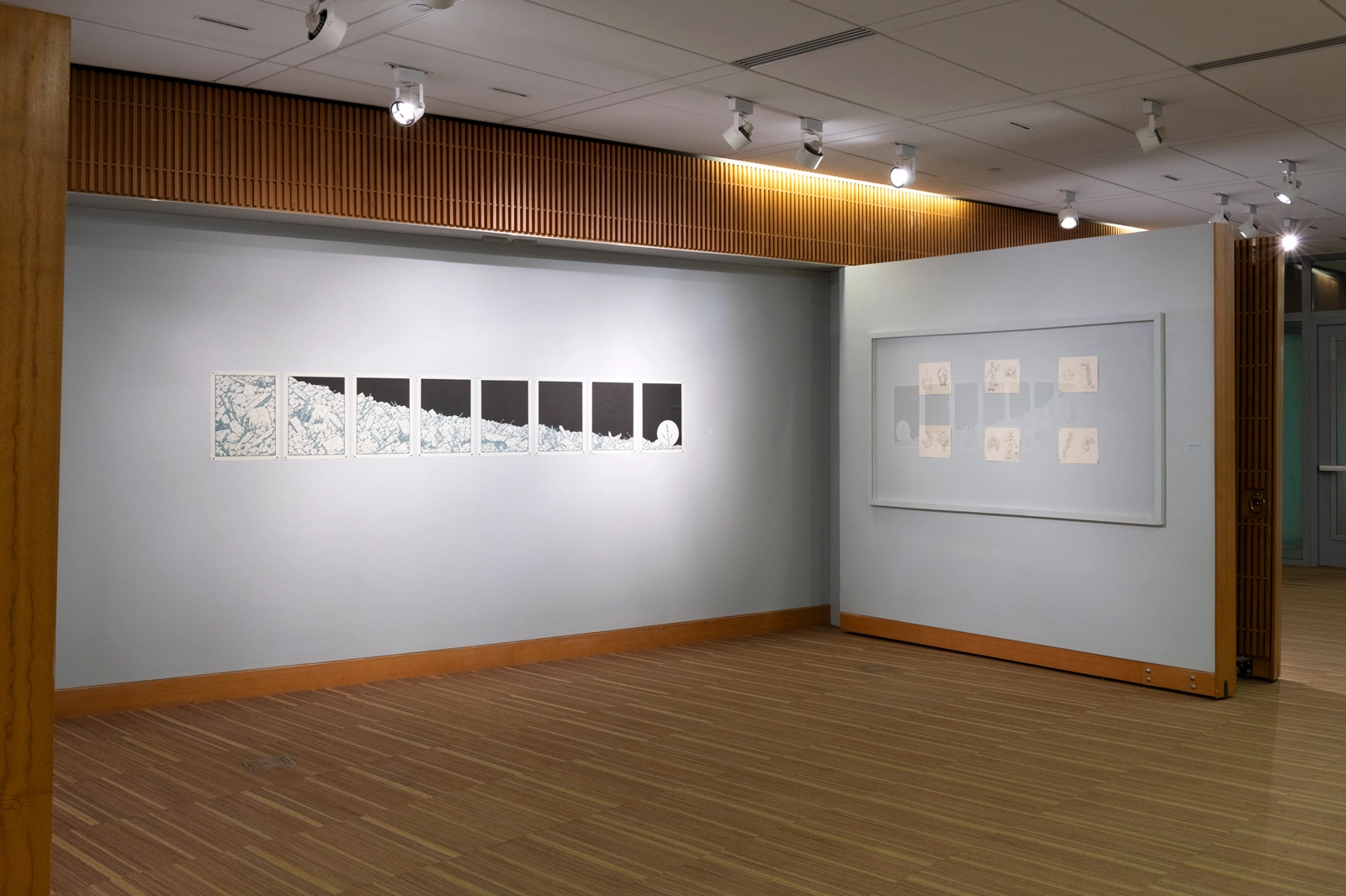 Installation view of "No Particular Order: Illustrations by Anuj Shrestha." Photo by Sam Fritch