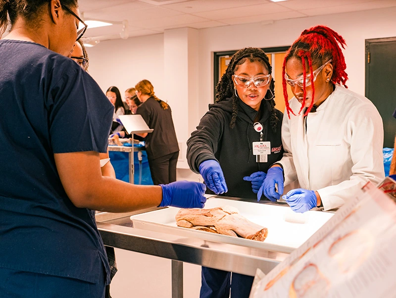 Physical therapy students work around an exam table in the wet lab at Arcadia University.