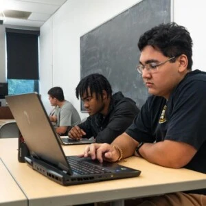 students look at their laptop screens