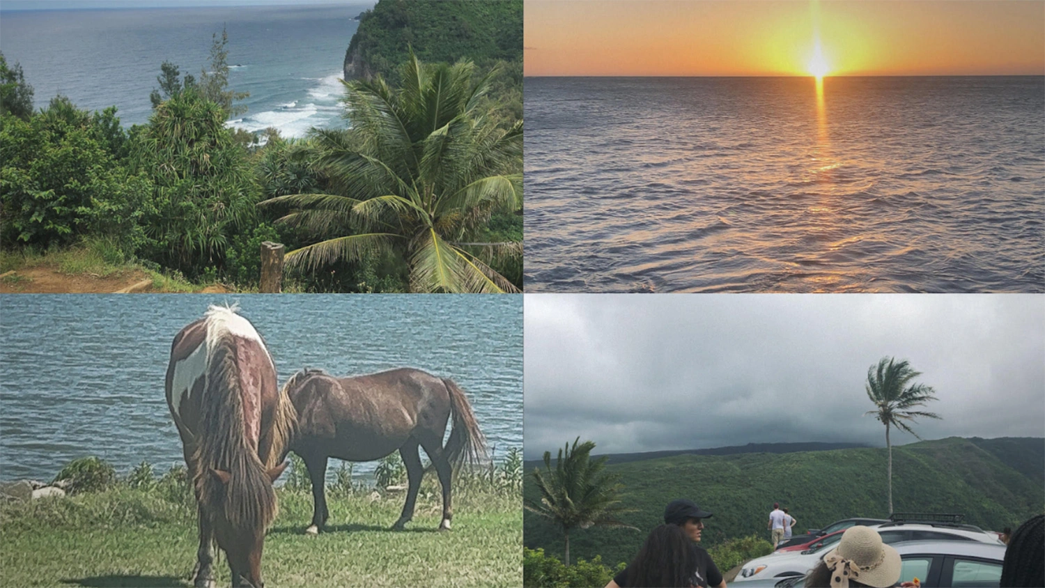 A collage of landscape photos from Hawaii and Ocean City, New Jersey taken by Jamai Vann ’28.