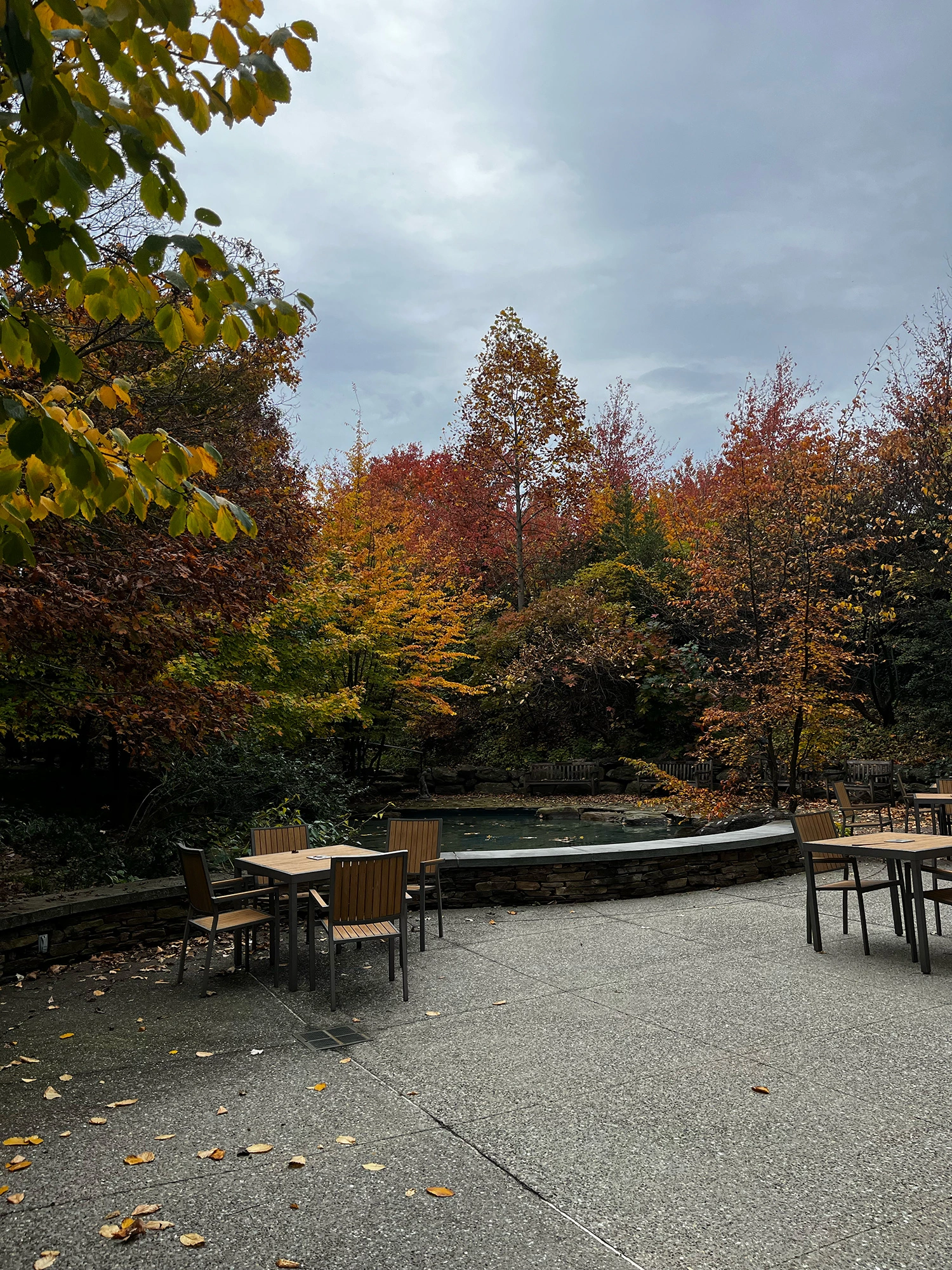 Easton Pond in the fall.