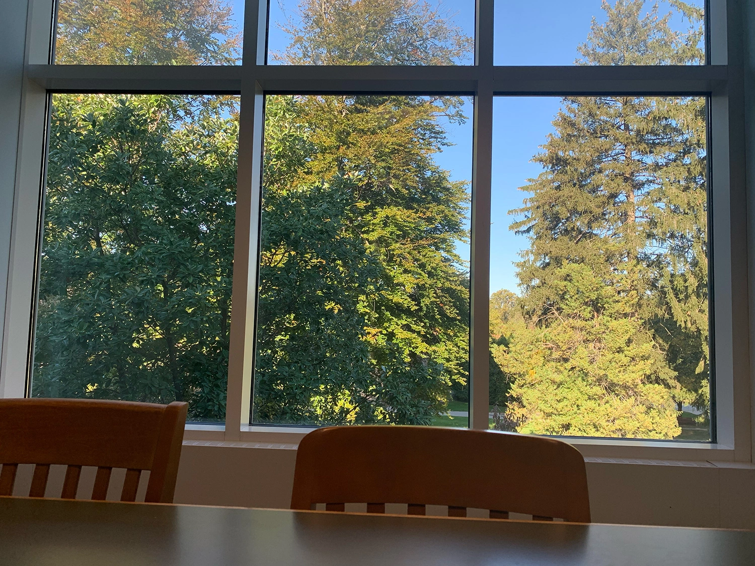 The view from one of Landman Library's study rooms.